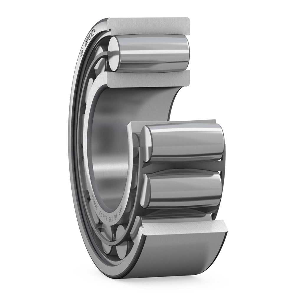 CARB TOROİDAL MAKARALI RULMAN